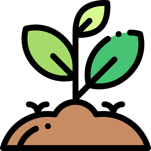 2024-04-plant.png